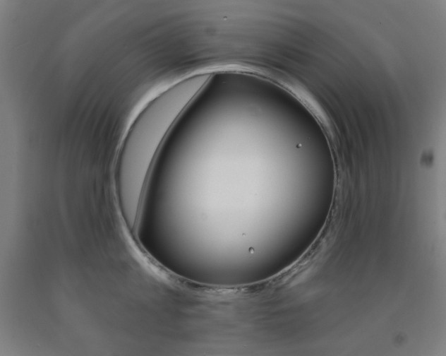 X0000093250813200709261555