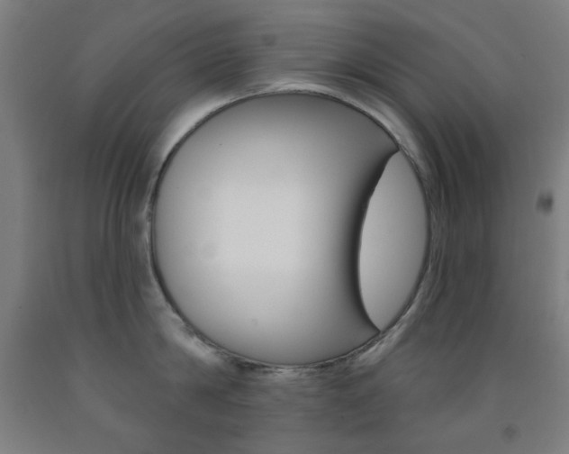 X0000093250814200709261555