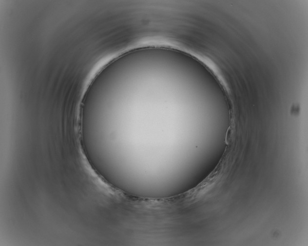 X0000093250815200709261555