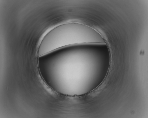 X0000093250816200709261555