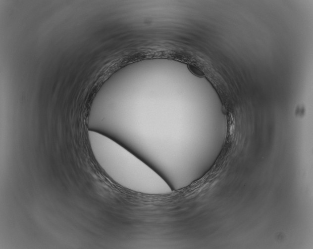 X0000093250819200709261554