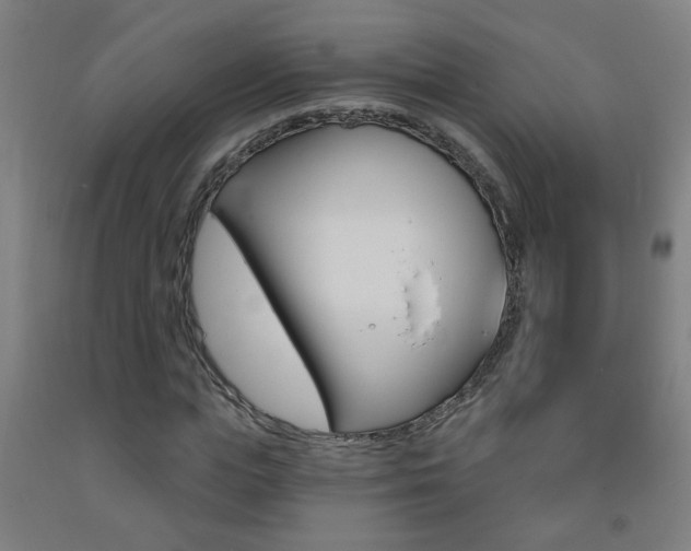 X0000093250823200709261554
