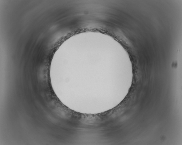 X0000093250824200709261554