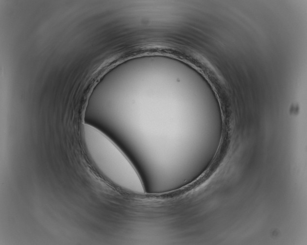 X0000093250825200709261554