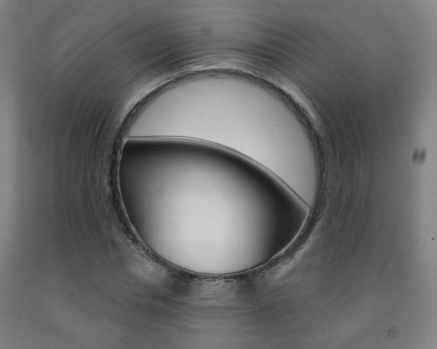 X0000093250826200709261554