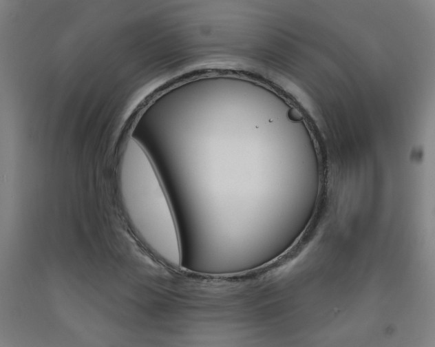 X0000093250829200709261554