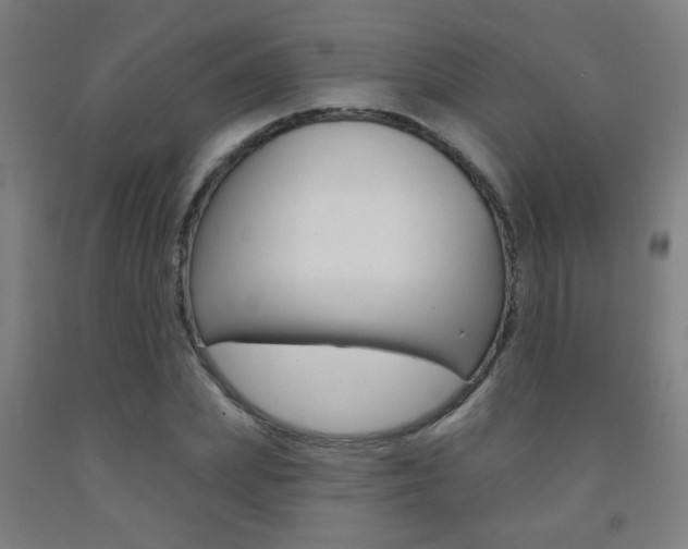 X0000093250831200709261554