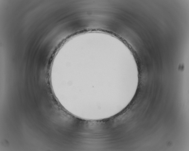 X0000093250832200709261555