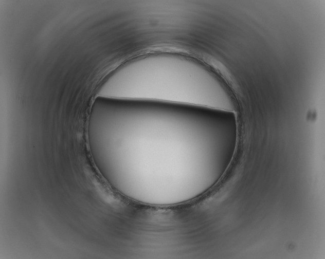 X0000093250833200709261555