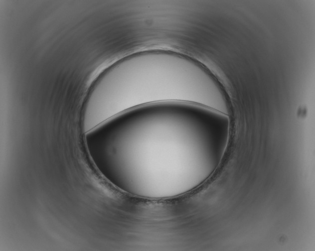 X0000093250834200709261555