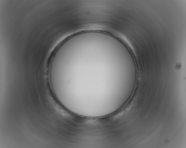 X0000093250835200709261555