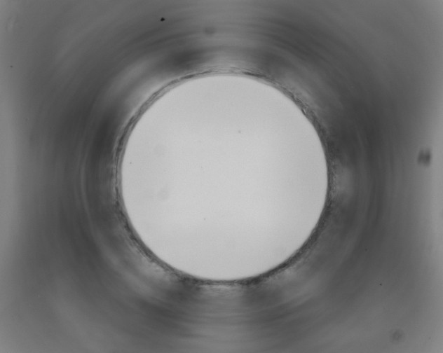 X0000093250836200709261555