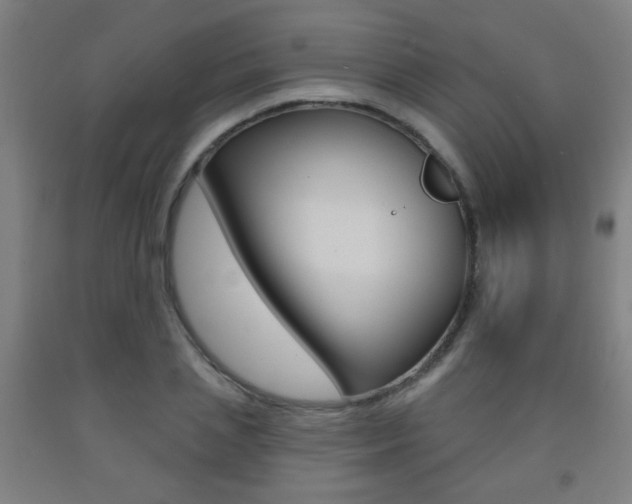 X0000093250837200709261555