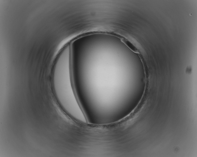 X0000093250838200709261555