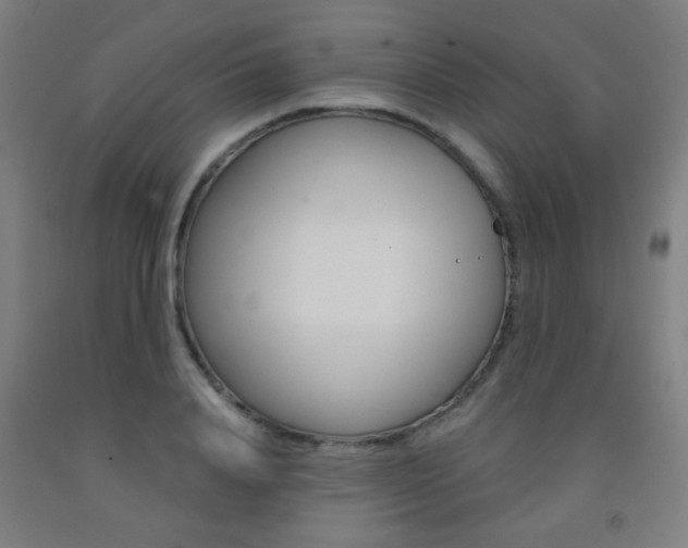 X0000093250840200709261555