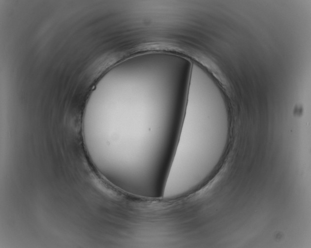 X0000093250841200709261555