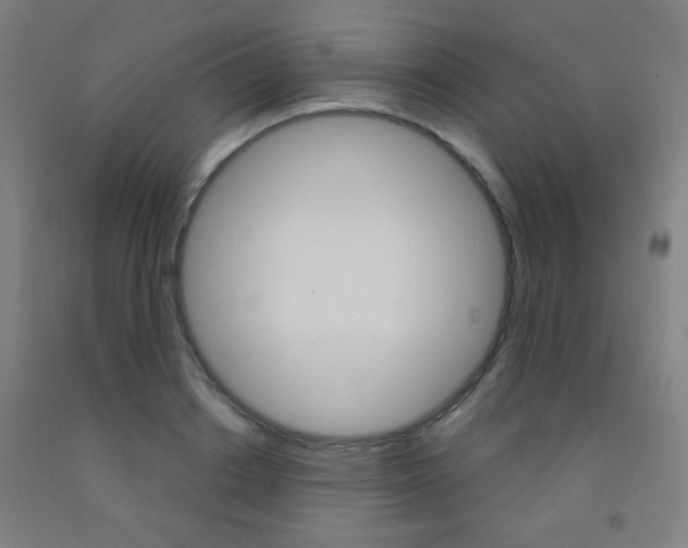 X0000093250842200709261555