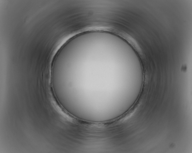 X0000093250844200709261555