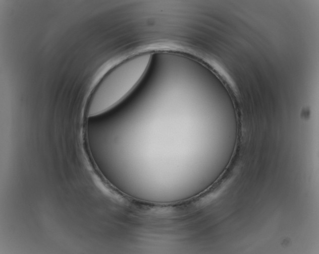 X0000093250845200709261555
