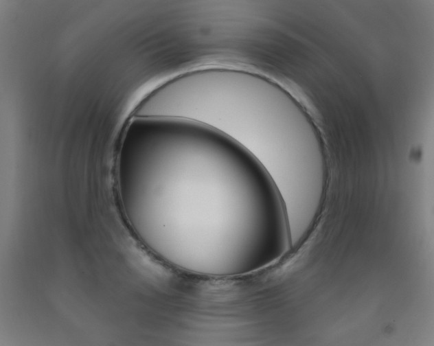 X0000093250846200709261555