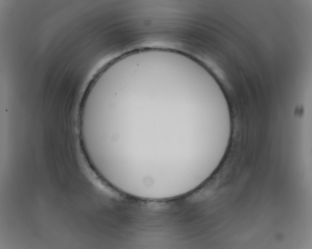 X0000093250848200709261555