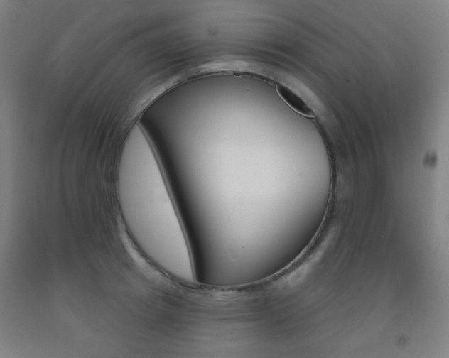 X0000093250849200709261555