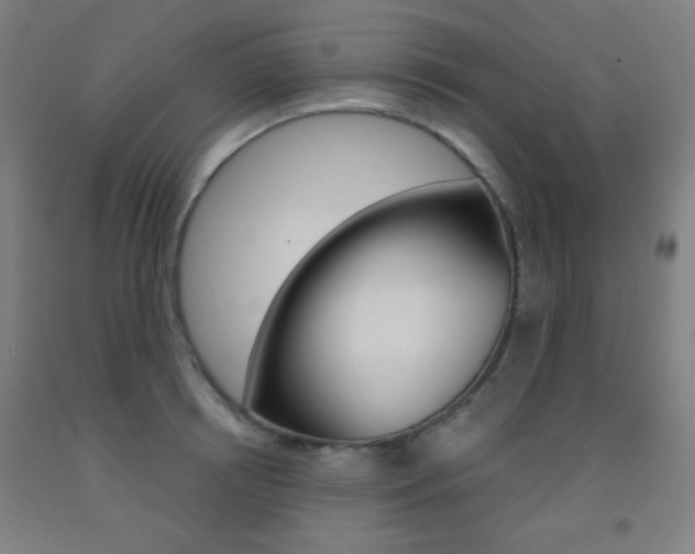 X0000093250850200709261555