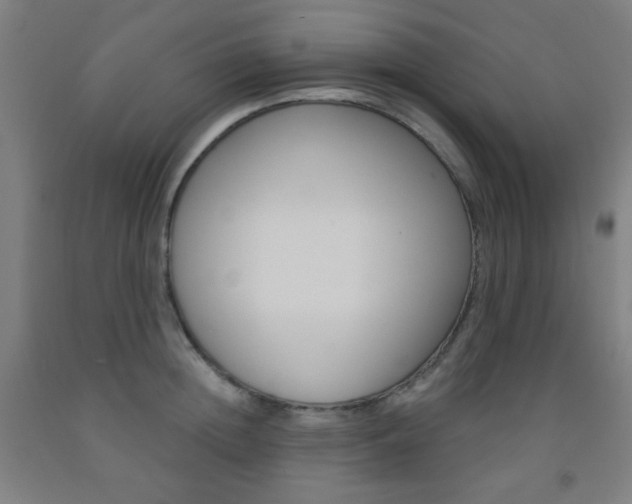 X0000093250852200709261555