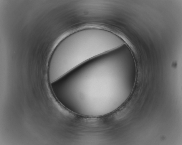 X0000093250853200709261555