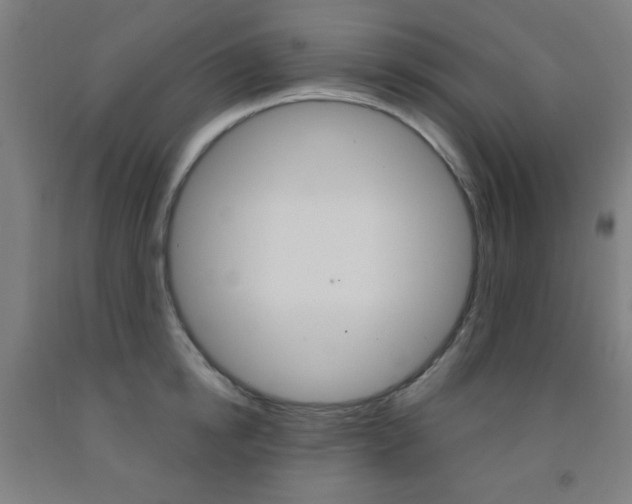 X0000093250854200709261555