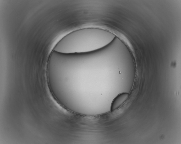 X0000093250855200709261555