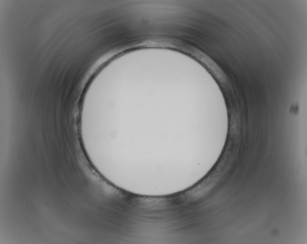 X0000093250856200709261555