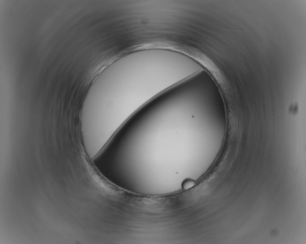 X0000093250857200709261555