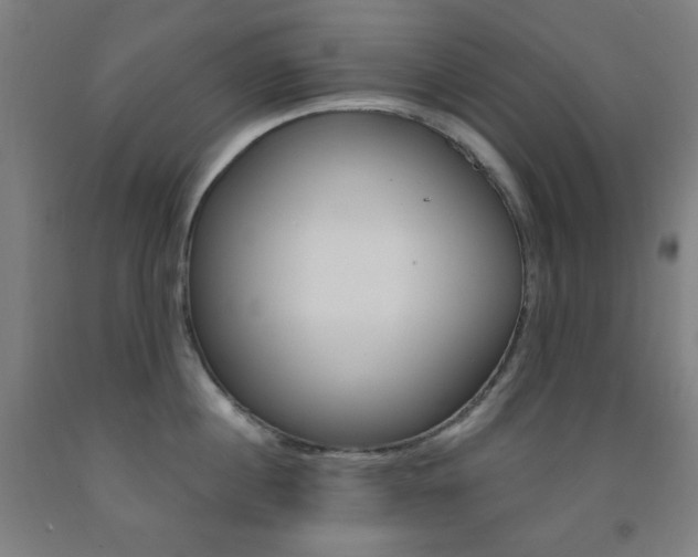 X0000093250860200709261555