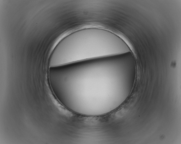 X0000093250861200709261555