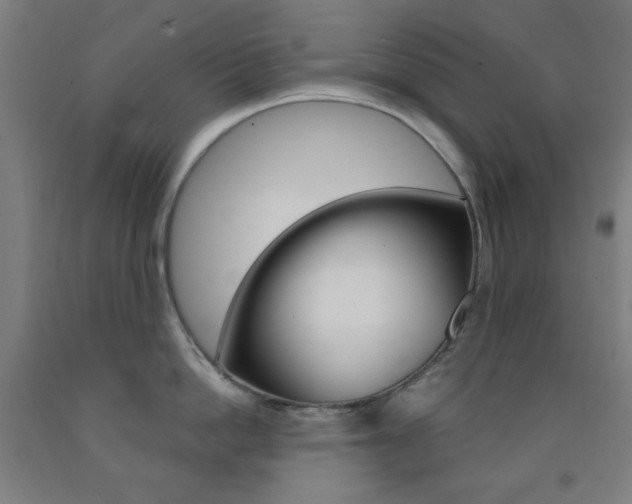 X0000093250862200709261555