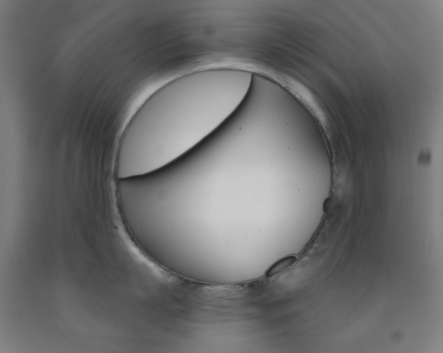 X0000093250863200709261555