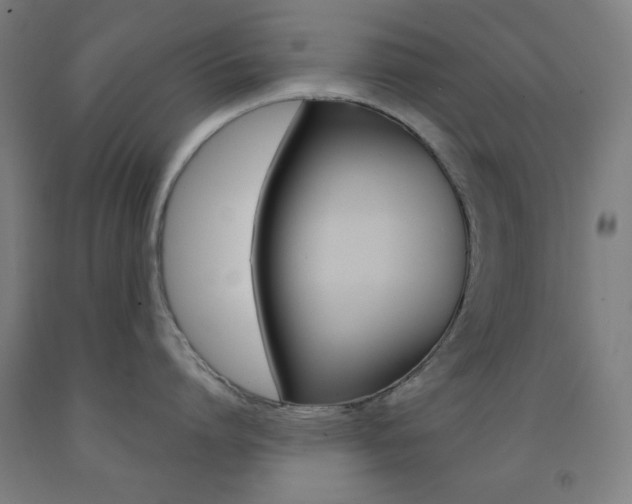 X0000093250864200709261555