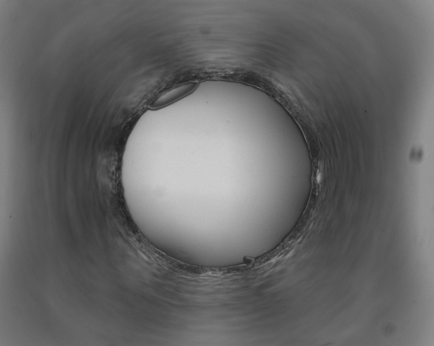 X0000093250867200709261554