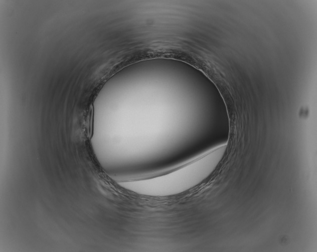 X0000093250868200709261554