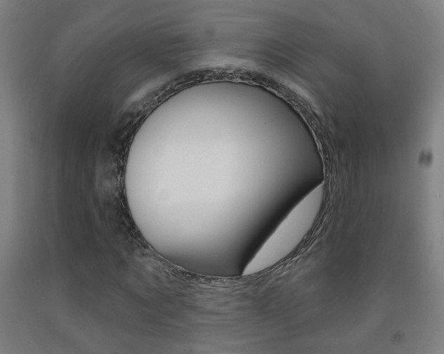 X0000093250869200709261554