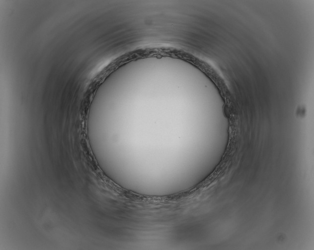 X0000093250871200709261554