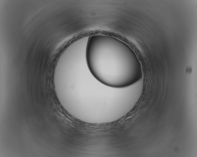 X0000093250872200709261554