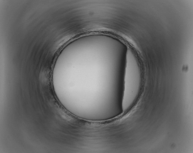 X0000093250873200709261554