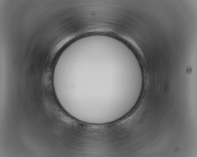 X0000093250874200709261554