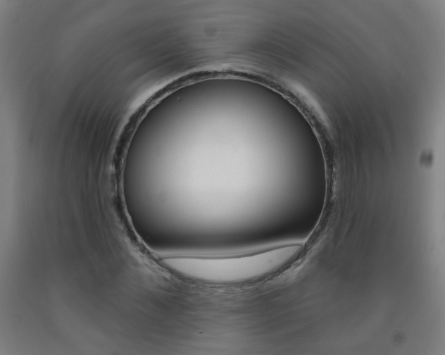 X0000093250876200709261554