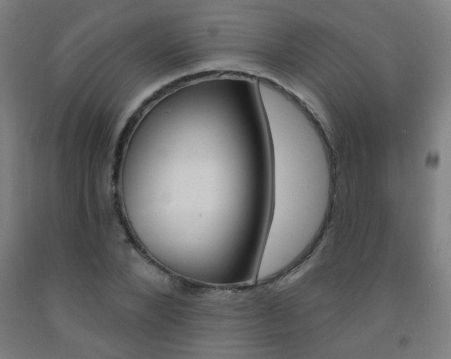 X0000093250880200709261554