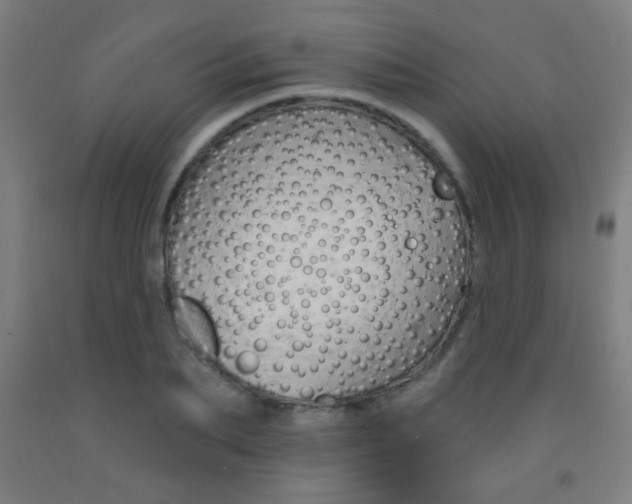 X0000093250887200709261554