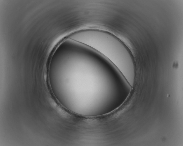 X0000093250888200709261554