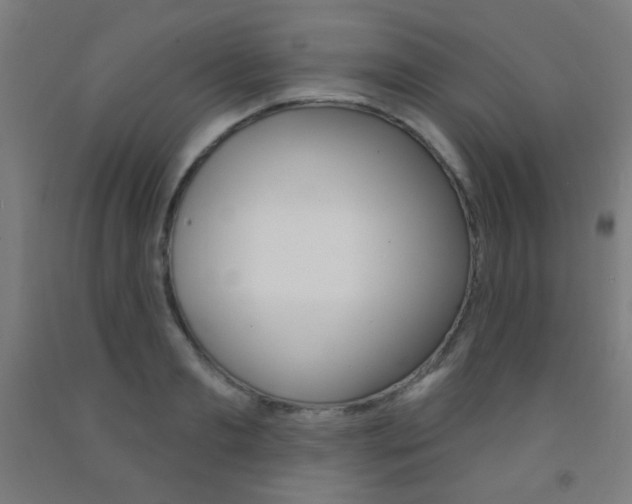X0000093250893200709261554